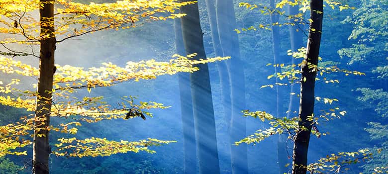 Religious & Spiritual Issues